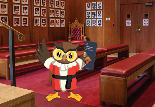 Amicus holding the English pamphlet of the Court while standing in the Judges’ Gallery